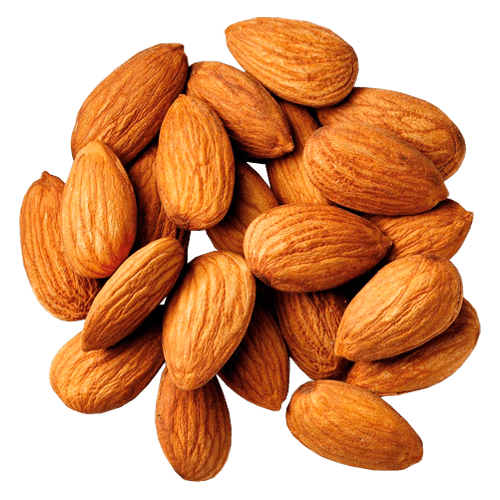 Picture Nut Almond Free HQ Image PNG Image