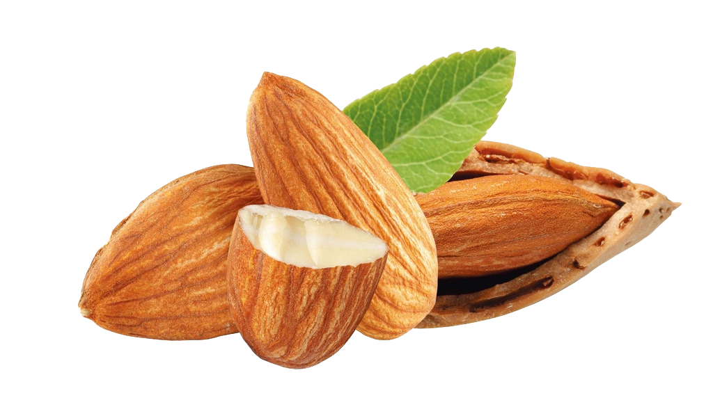 Download Picture Nut Almond Free Photo HQ PNG Image FreePNGImg.