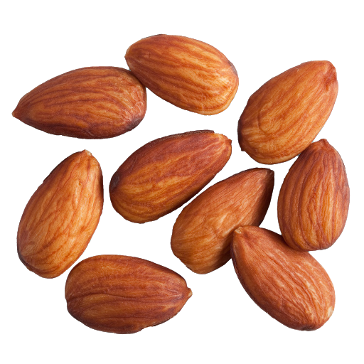 Nut Almond Download HD PNG Image