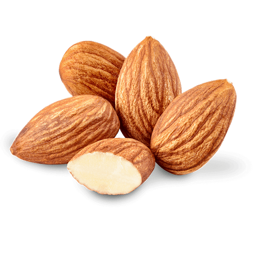 Nut Almond Download Free Image PNG Image