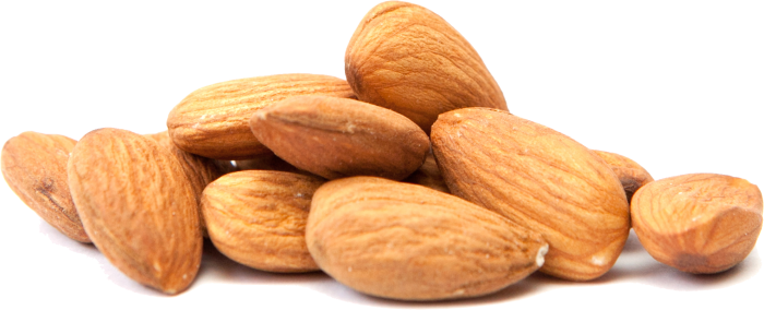 Almond Png Clipart PNG Image