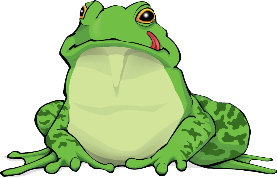 Amphibian Free Download PNG Image