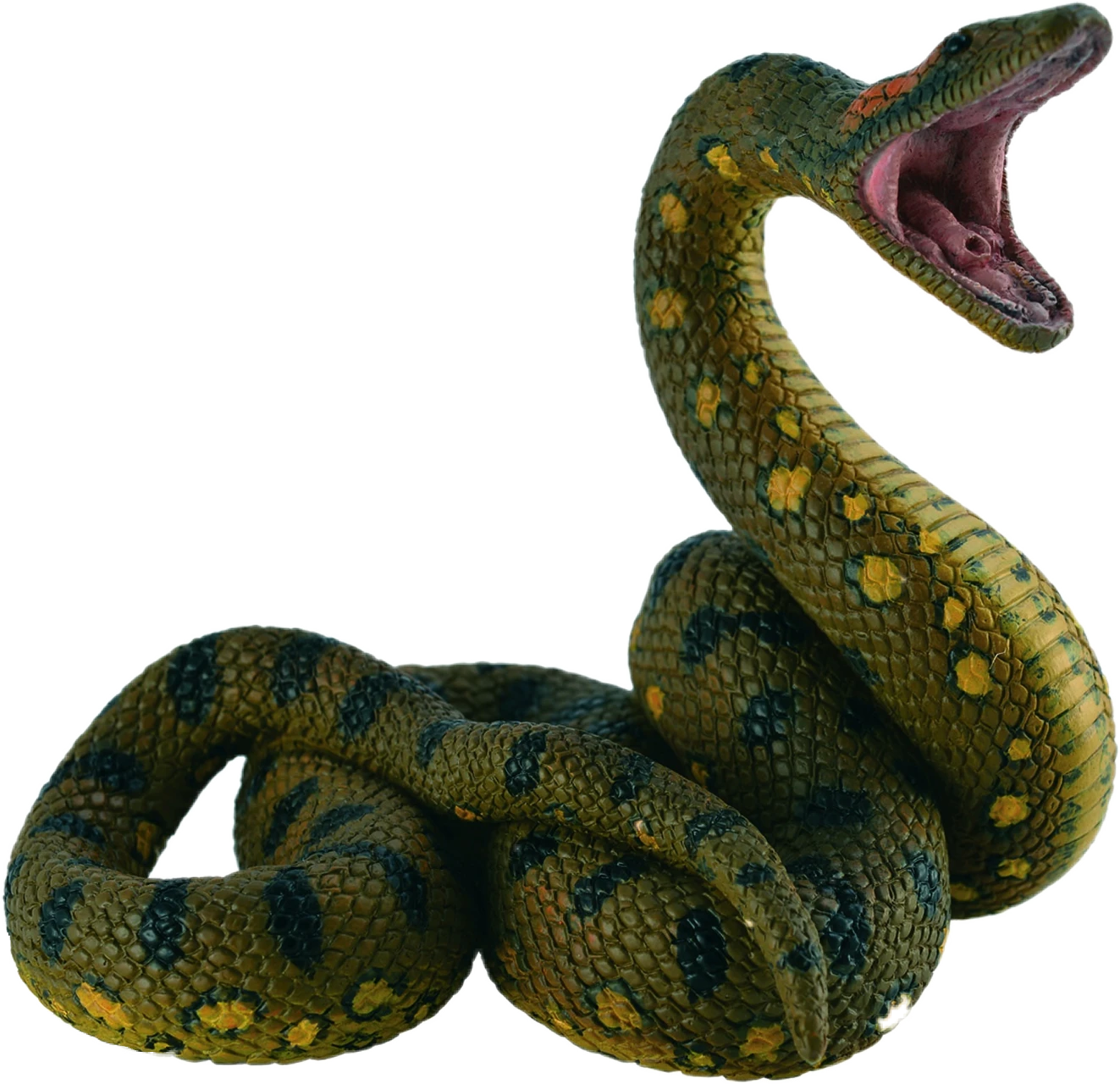 Green Anaconda Download Free Image PNG Image