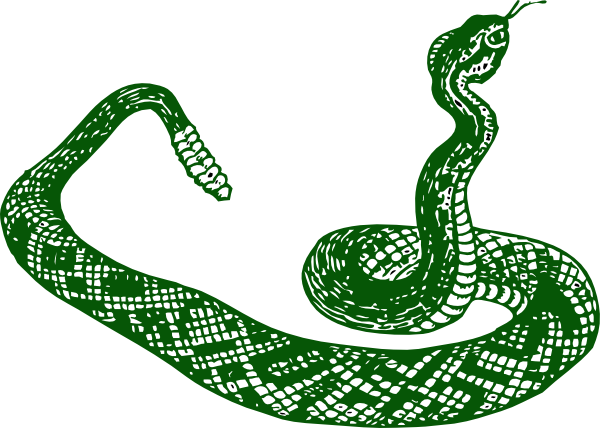 Green Anaconda PNG Free Photo PNG Image