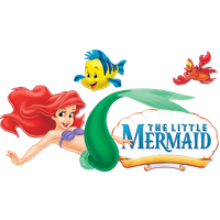 Little Portable Mockup Ariel Airel Graphics The