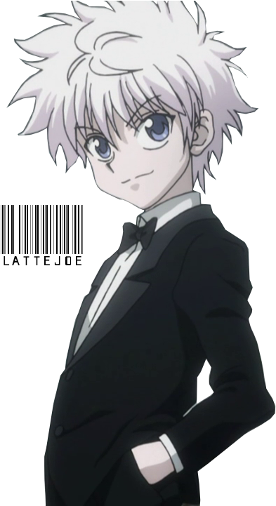 Killua X Zoldyck Hunter Download HQ PNG Image