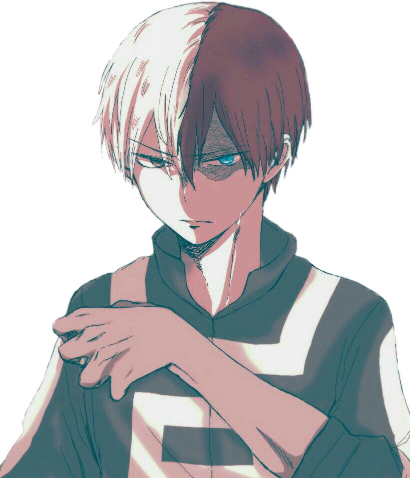 Todoroki HD Image Free PNG Image