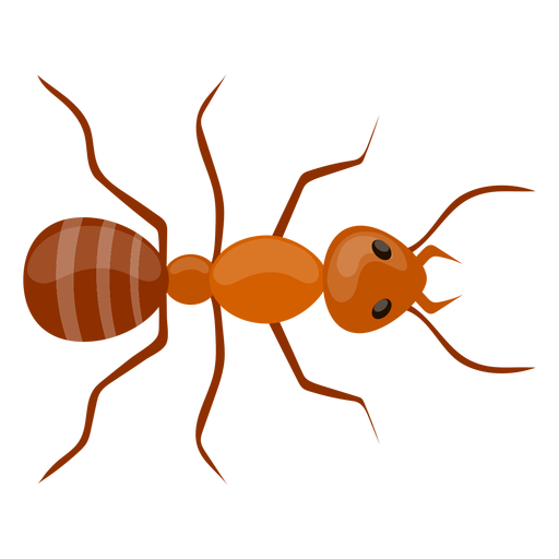 Ant Red Download HQ PNG Image