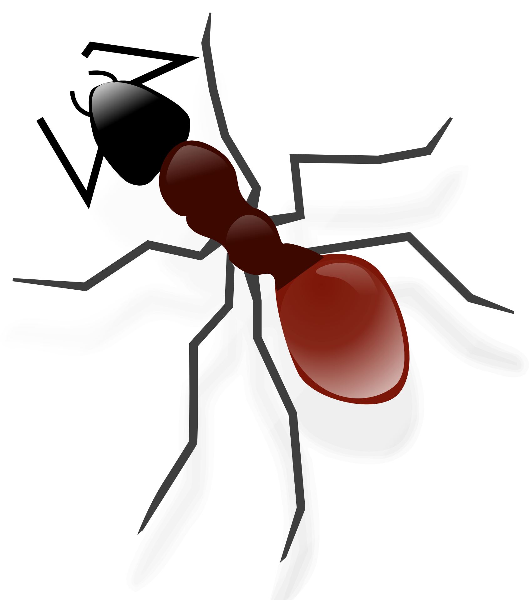Ant Vector HQ Image Free PNG Image