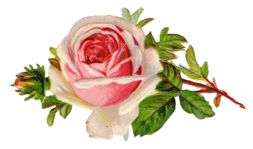Antique Flower Art Free Download PNG HD PNG Image