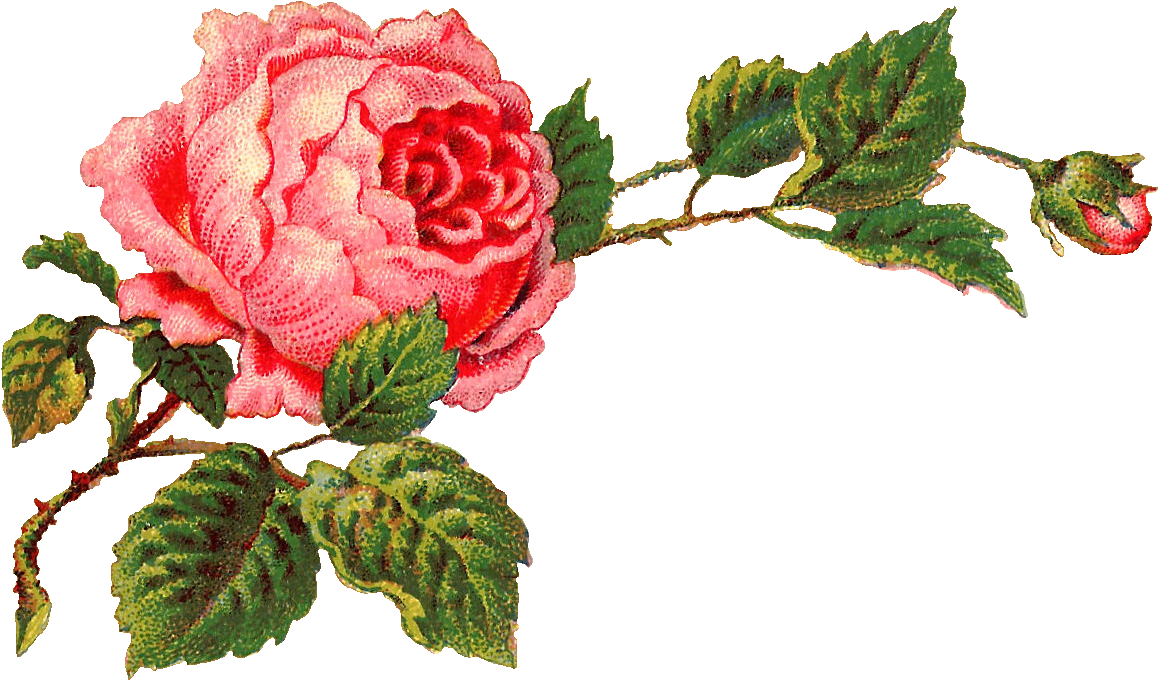 Antique Flower Art Free PNG HQ PNG Image