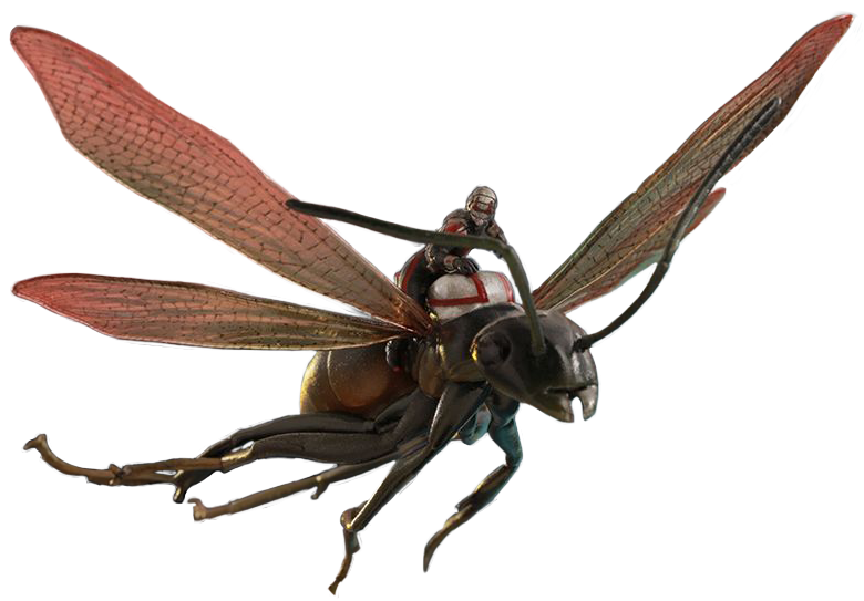 Ant-Man Download Png PNG Image
