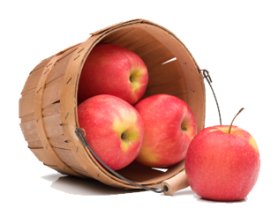 Apple Fruit Picture PNG Image