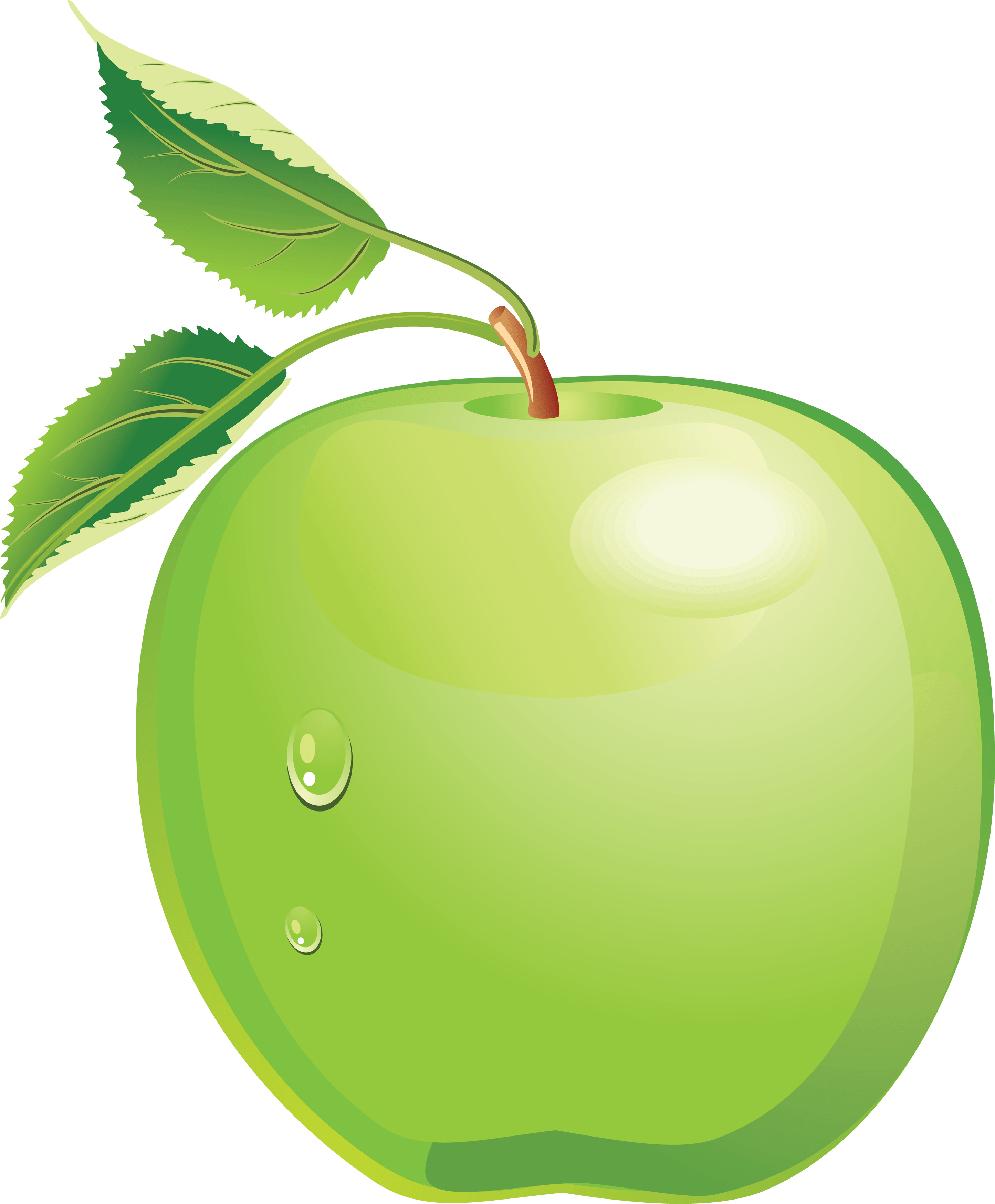 Green Apple Png Image PNG Image