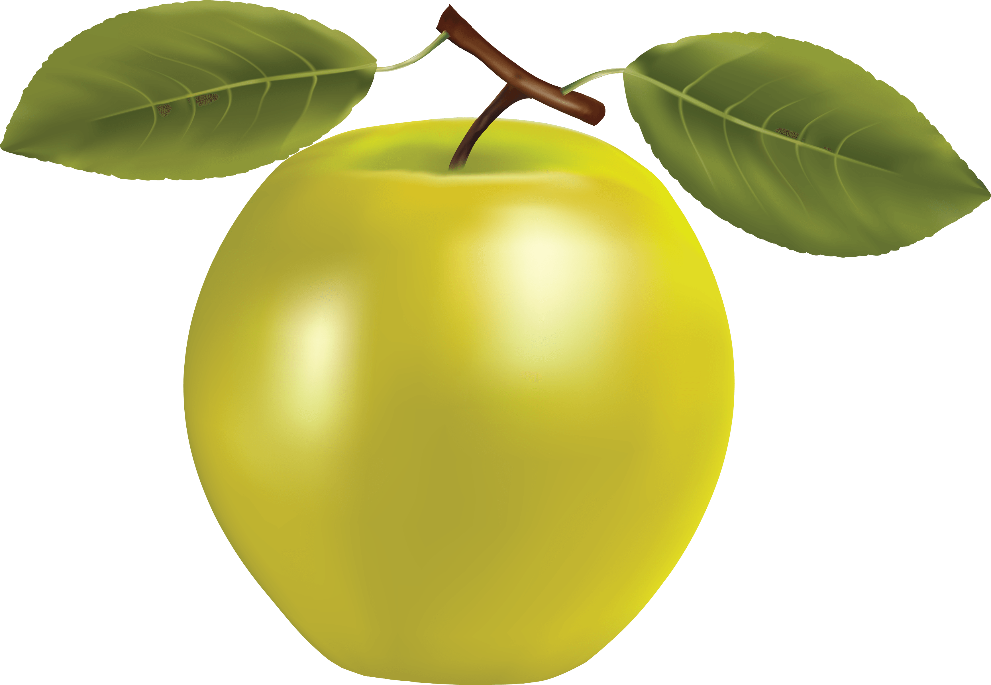 Png Apple Image Clipart Transparent Png Apple PNG Image