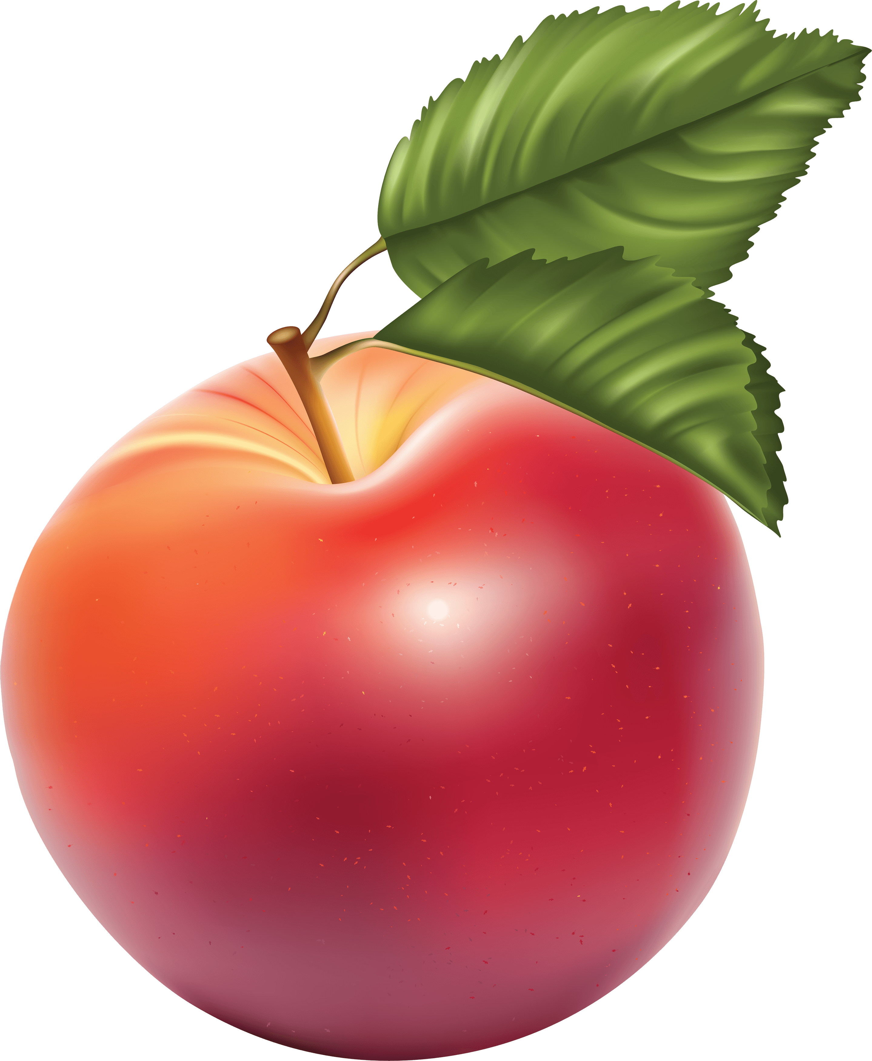 Png Apple Image Clipart Transparent Png Apple PNG Image