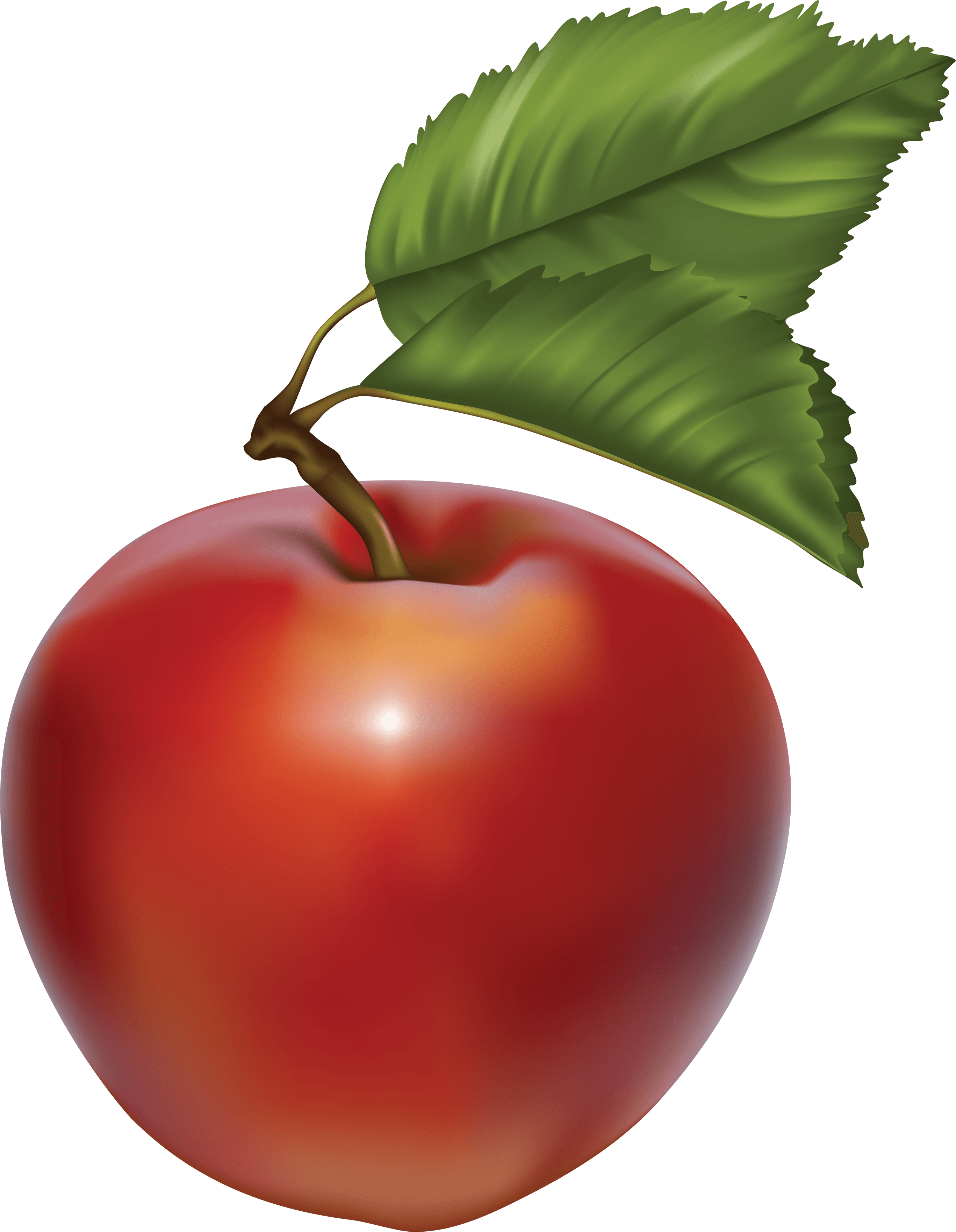 Green Apple Png Image PNG Image