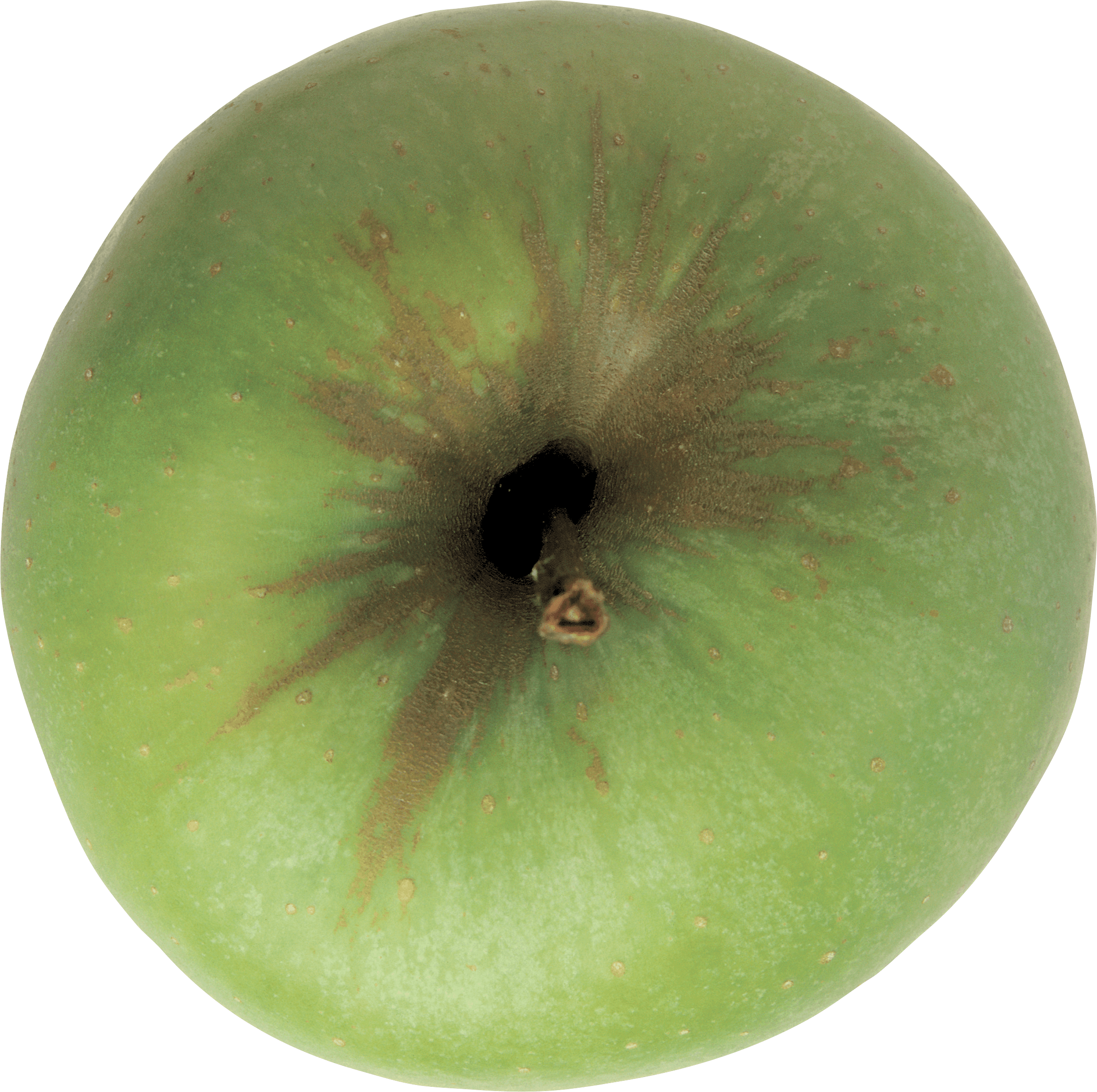 Green Apple Png Image PNG Image