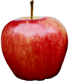 Apple Png Image PNG Image