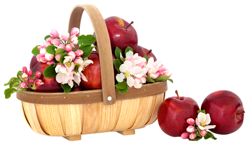 Basket Apple Download HD PNG Image