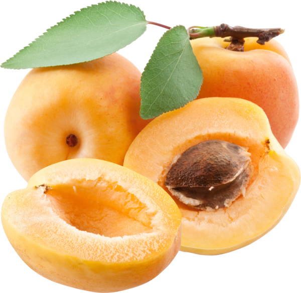 Apricot Up Close Free Download PNG HD PNG Image