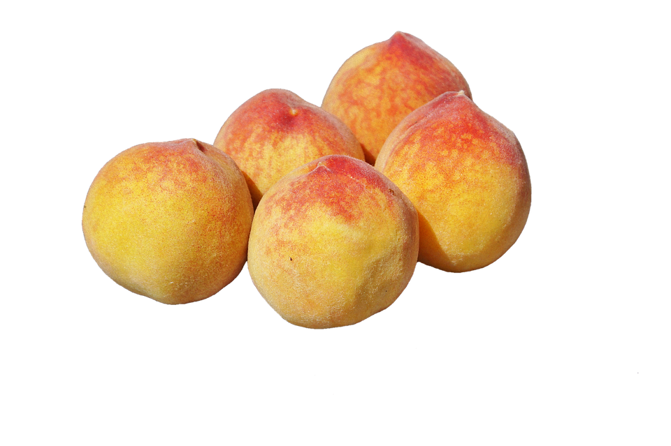 Images Apricot Up Close PNG Download Free PNG Image