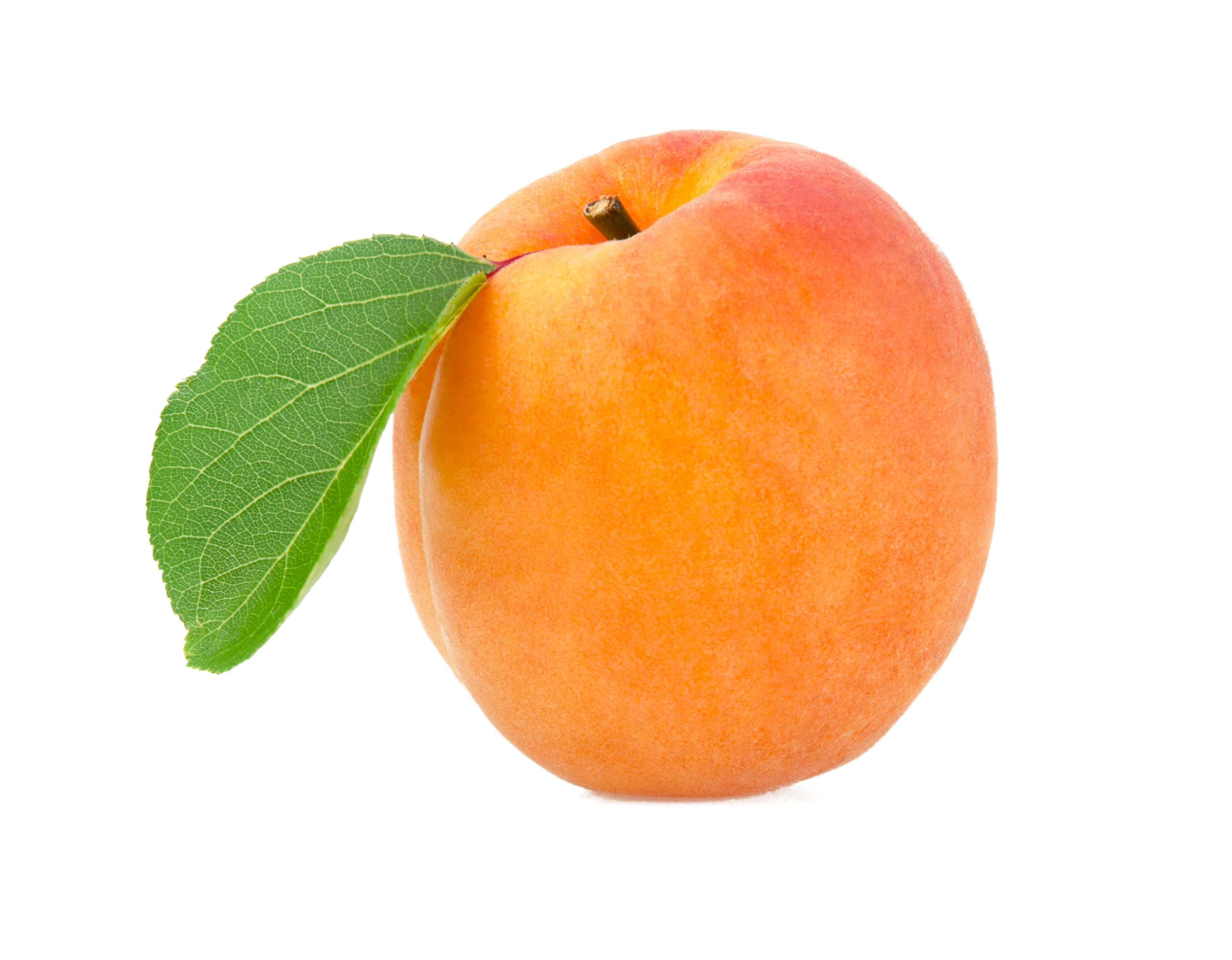 Apricot Fruit Download HD Transparent PNG Image