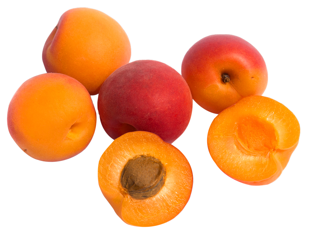 Apricot Fruit PNG Image High Quality PNG Image