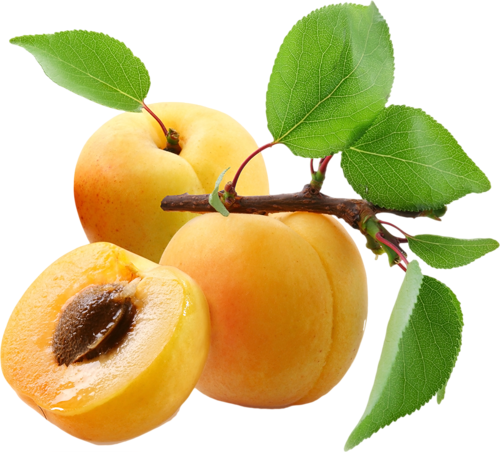 Apricot Fruit Pic Slice Free HD Image PNG Image