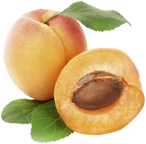 Apricot Fruit Slice Picture Free Clipart HQ PNG Image