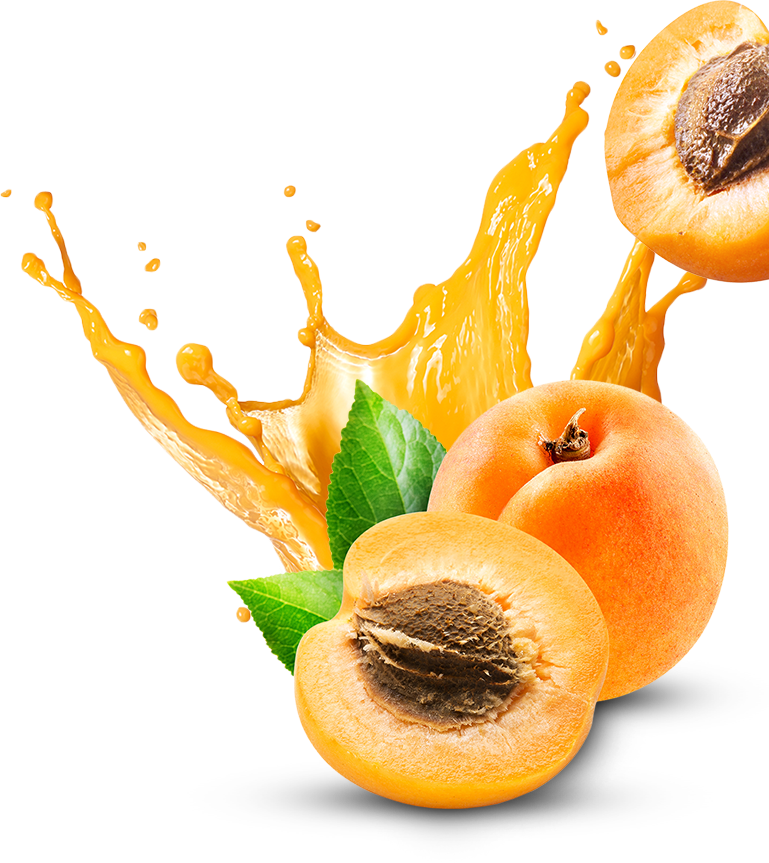 Apricot Fruit Slice Download Free Image PNG Image