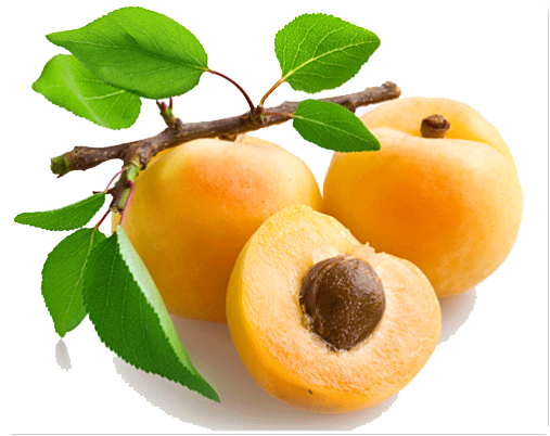 Apricot Fruit Slice Download HQ PNG Image