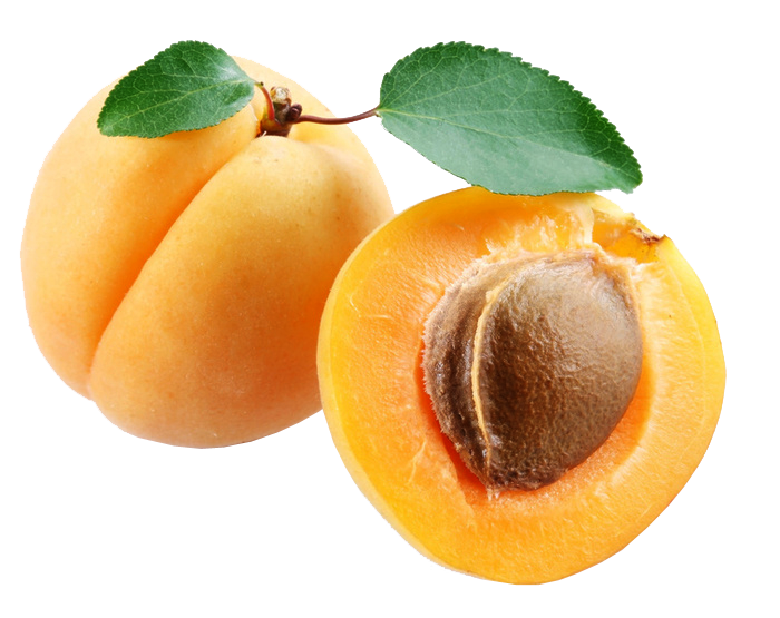 Apricot Fruit Free HD Image PNG Image