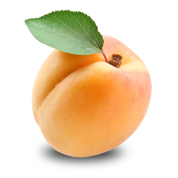 Apricot Free Download Png PNG Image