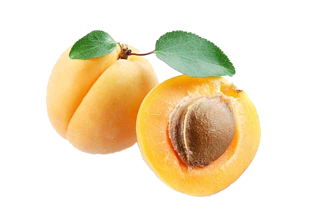 Apricot Png Clipart PNG Image