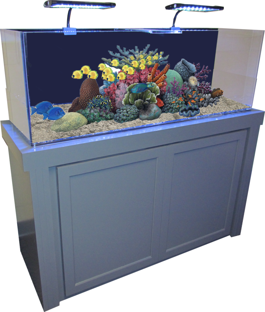 Fish Tank Aquarium PNG Image High Quality PNG Image