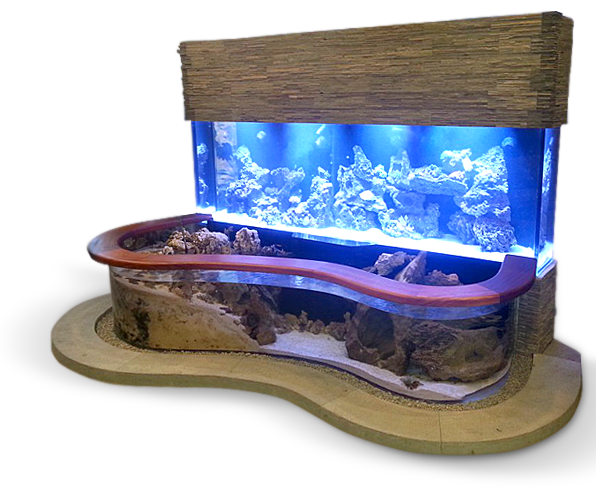 Glass Fish Tank Aquarium Picture PNG Image