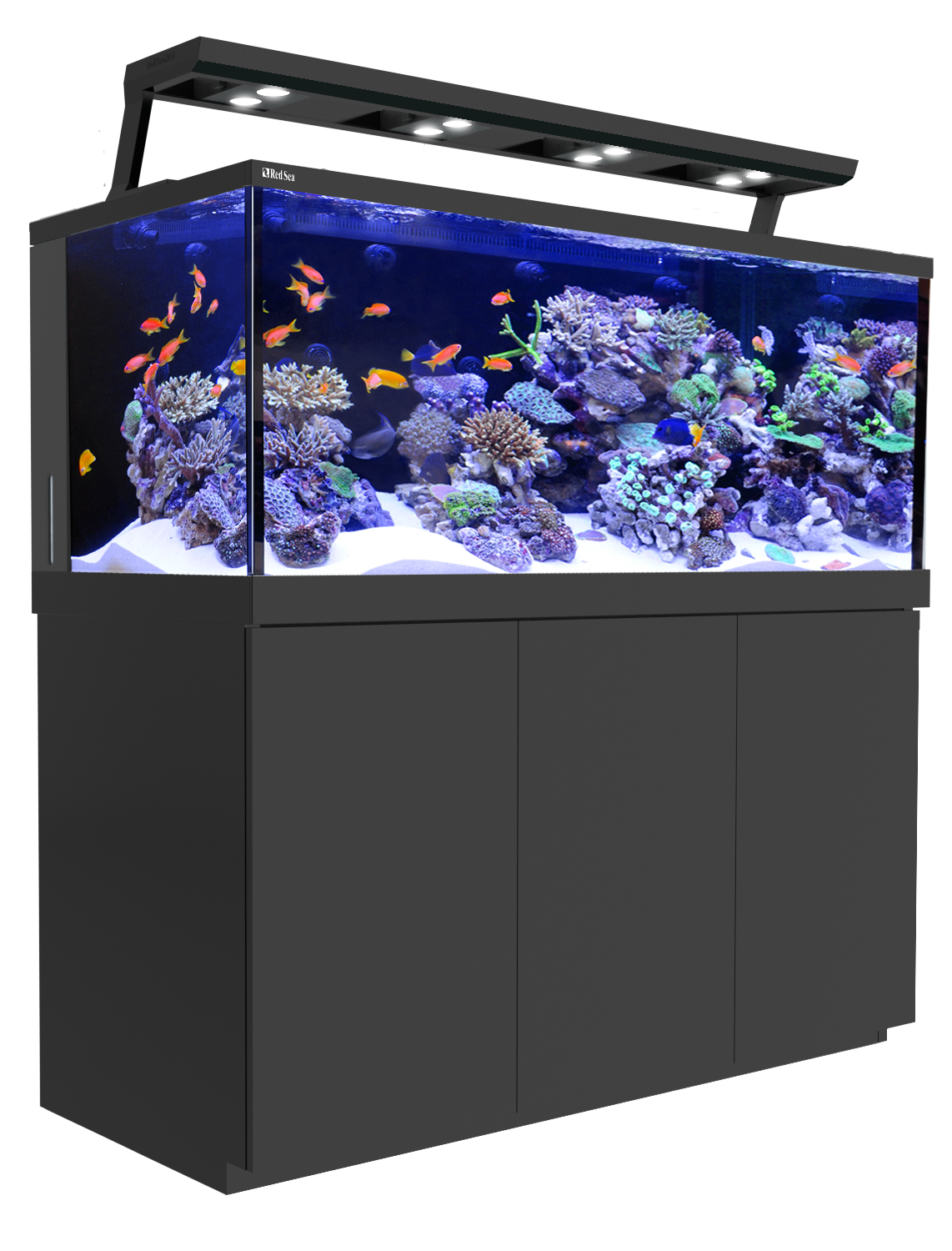 Glass Fish Tank Aquarium PNG Image High Quality PNG Image