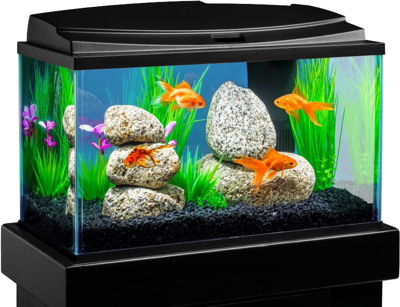 Tropical Fish Tank Free Transparent Image HD PNG Image