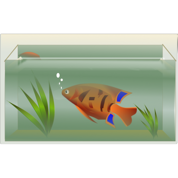 Fish Tank Free Download Image PNG Image