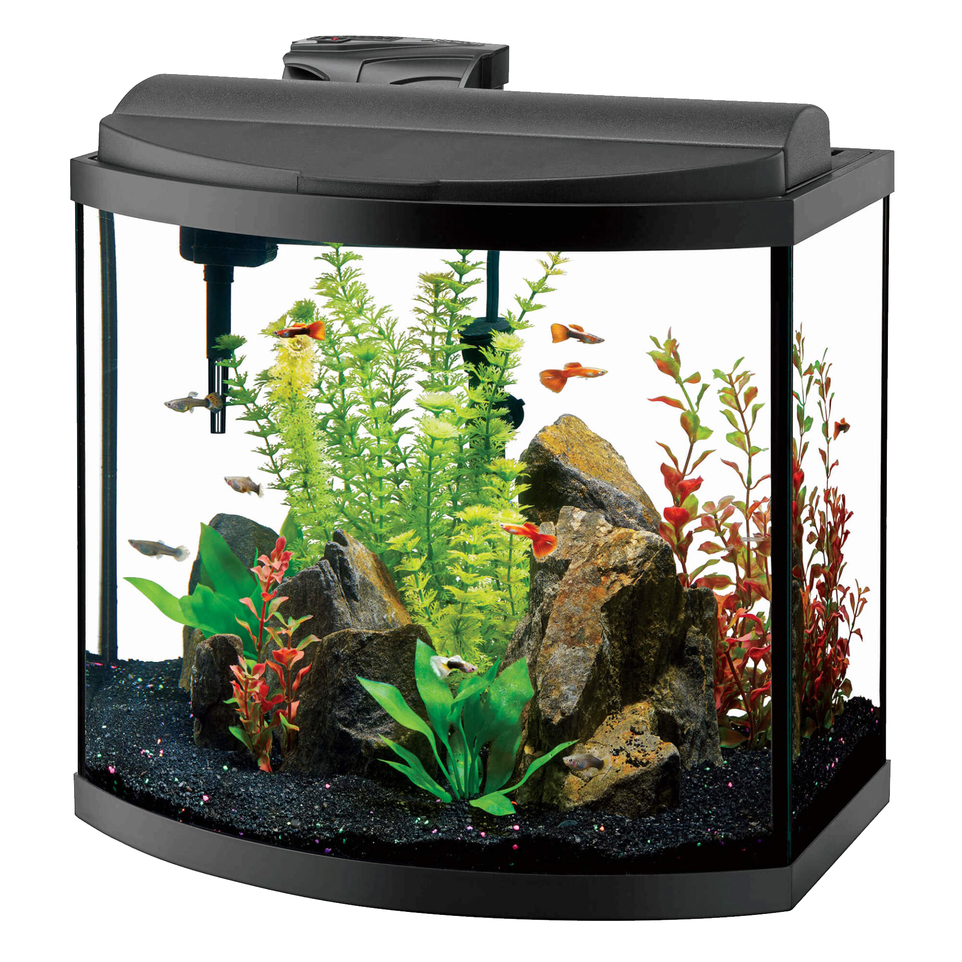 Glass Fish Tank PNG Free Photo PNG Image