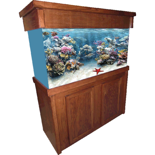 Aquarium Furniture Image PNG Free Photo PNG Image