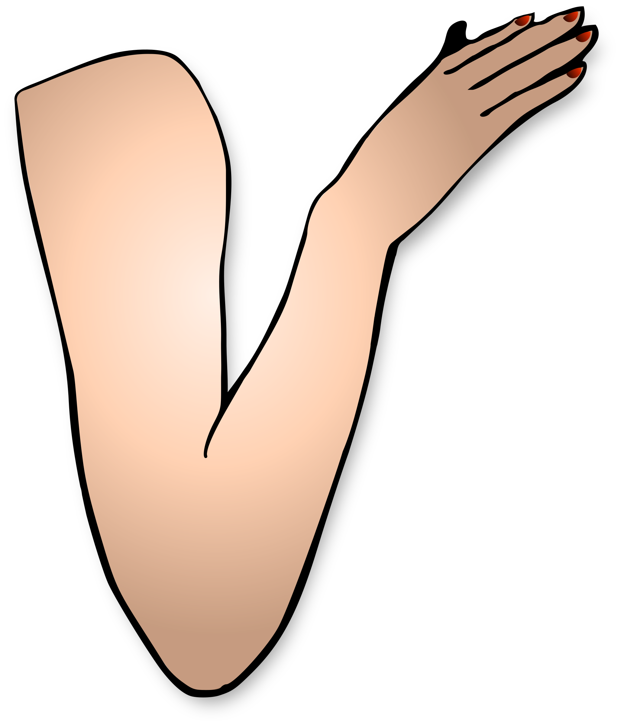 Arm Image PNG Image