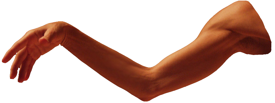 Arm Transparent PNG Image