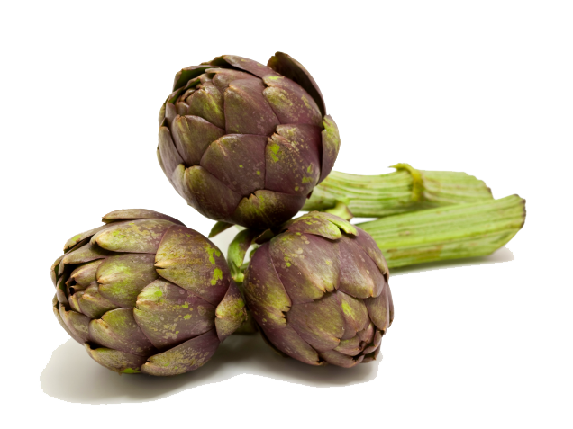 Artichokes Free Download PNG Image