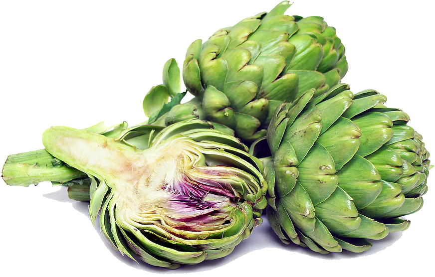 Artichokes Transparent Image PNG Image