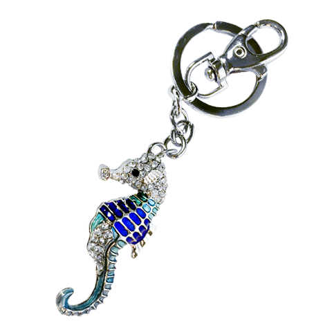 Keyring Images Download HQ PNG PNG Image