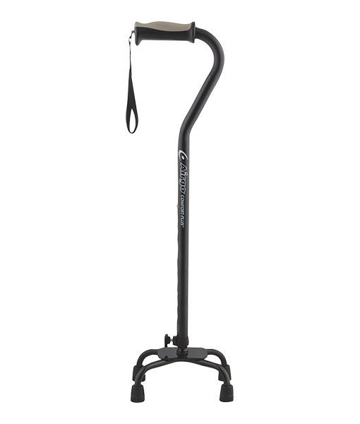 Walking Stick Download HD Image Free PNG PNG Image