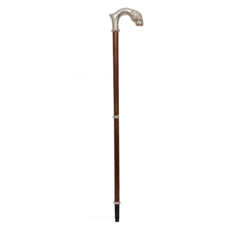 Walking Stick Free Clipart HQ PNG Image