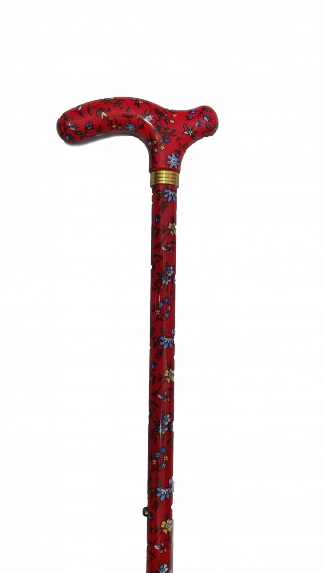 Walking Stick Free HQ Image PNG Image